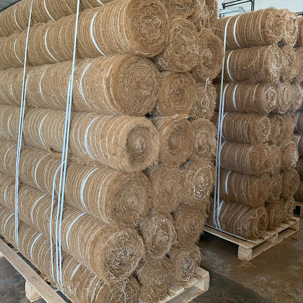 PHOTO-2024-10-25-14-35-25 1