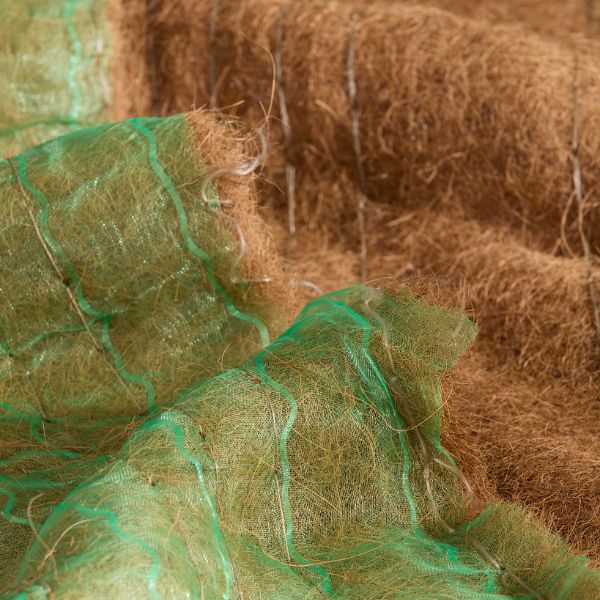 Untitled design (12)