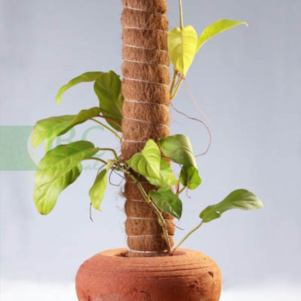 Untitled design (30)