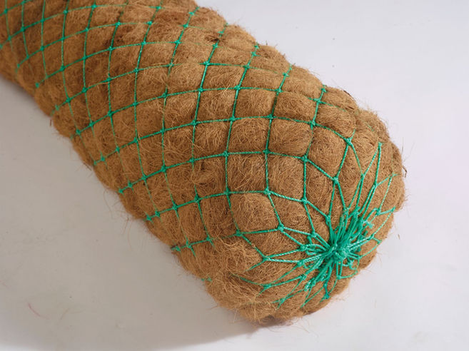 f03492_99f3a6a9c3ae4e9fadaebe2c9c314f04~mv2